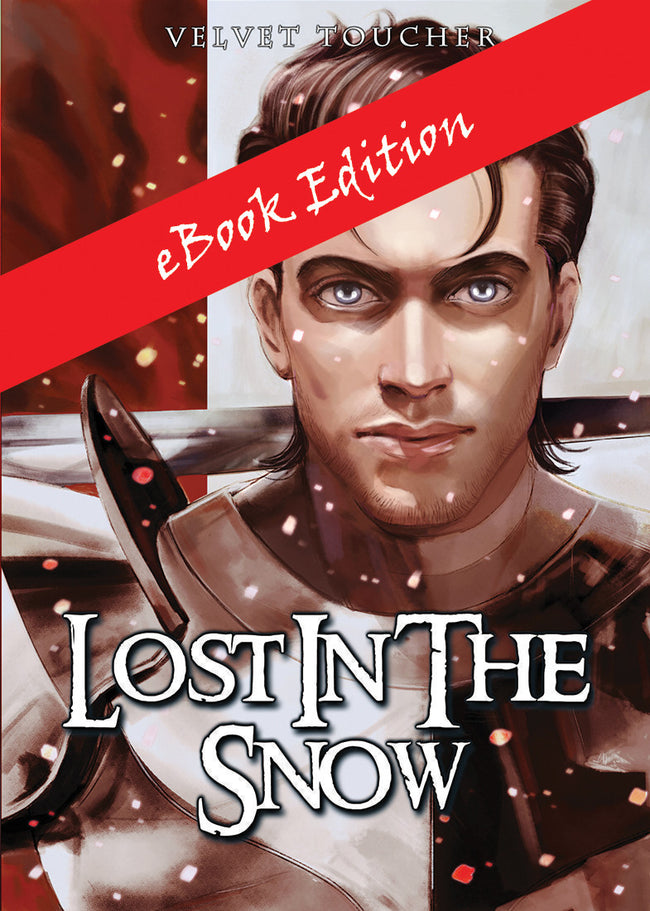 eBook - Lost in the Snow by Velvet Toucher